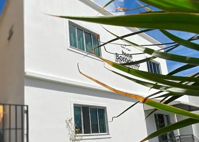 Hostel Borogodó Fortaleza 